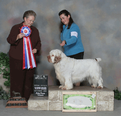 Photos courtesy Cathy French
