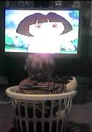 dora