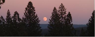 Moon over Ananda