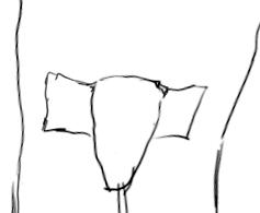 noleak5.jpg