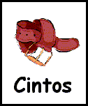 Cintos