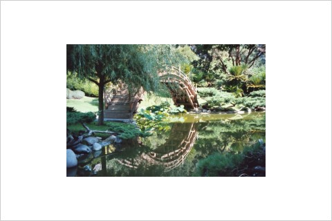 Japanese Garden Bridge