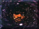 Jimi1.jpg (72825 bytes)