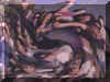 goonie2.jpg (59460 bytes)