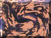 goonie3.jpg (70826 bytes)