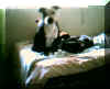 snoopAZ.jpg (8846 bytes)