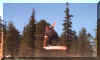 tailGrab.jpg (34669 bytes)