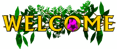[Welcome]