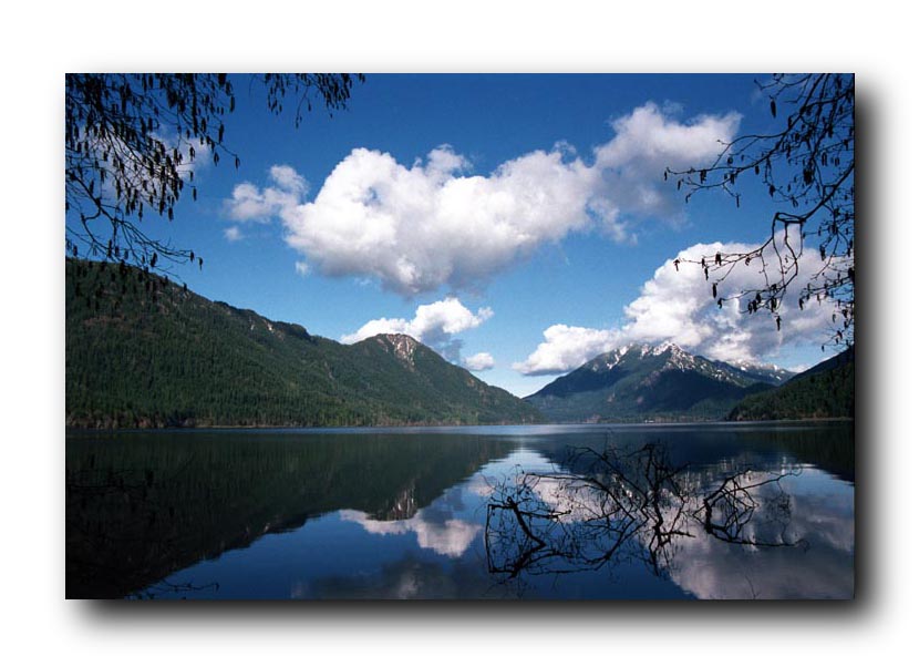 Lake Crescent picture