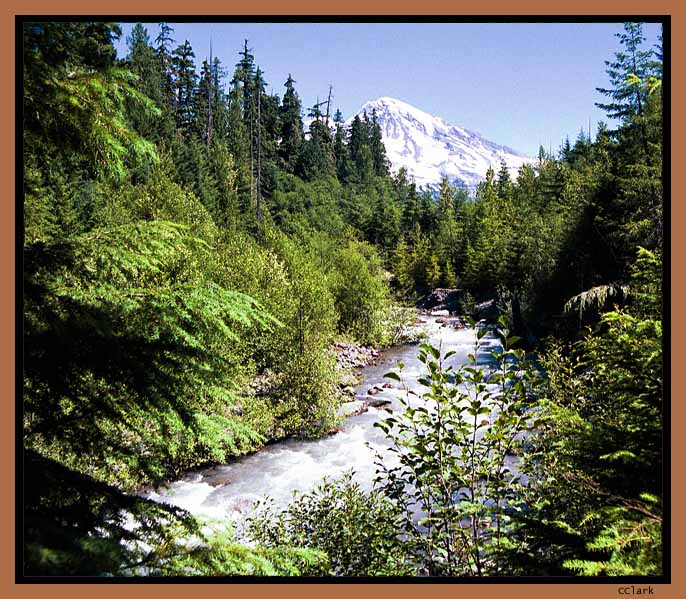 Mt. Rainier
