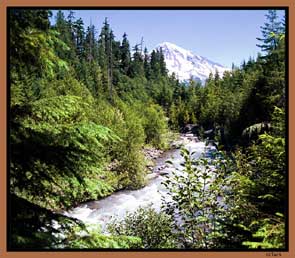 Mt Rainier