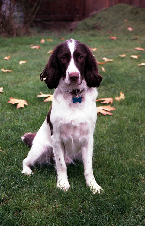 Milton picture 1/01