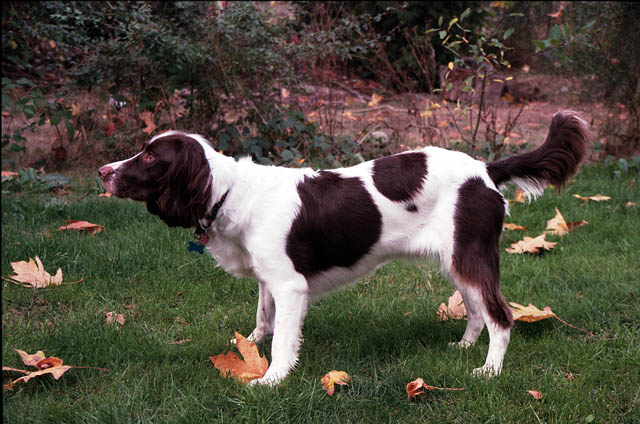 Milton picture 1/01