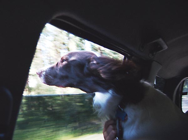 Milton picture 7/00