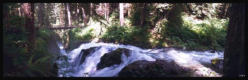 Sol Duc Falls