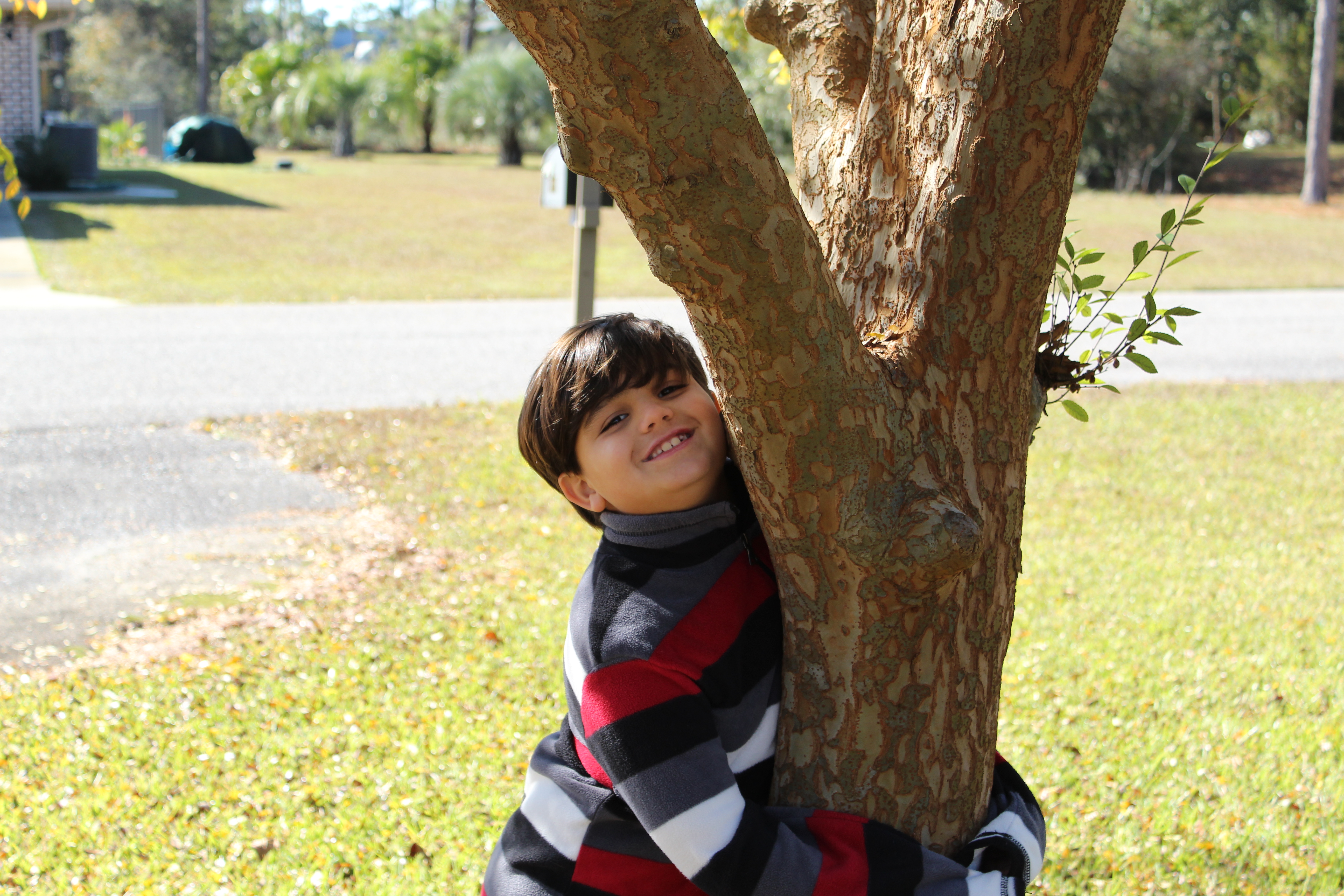 portrait ofboy