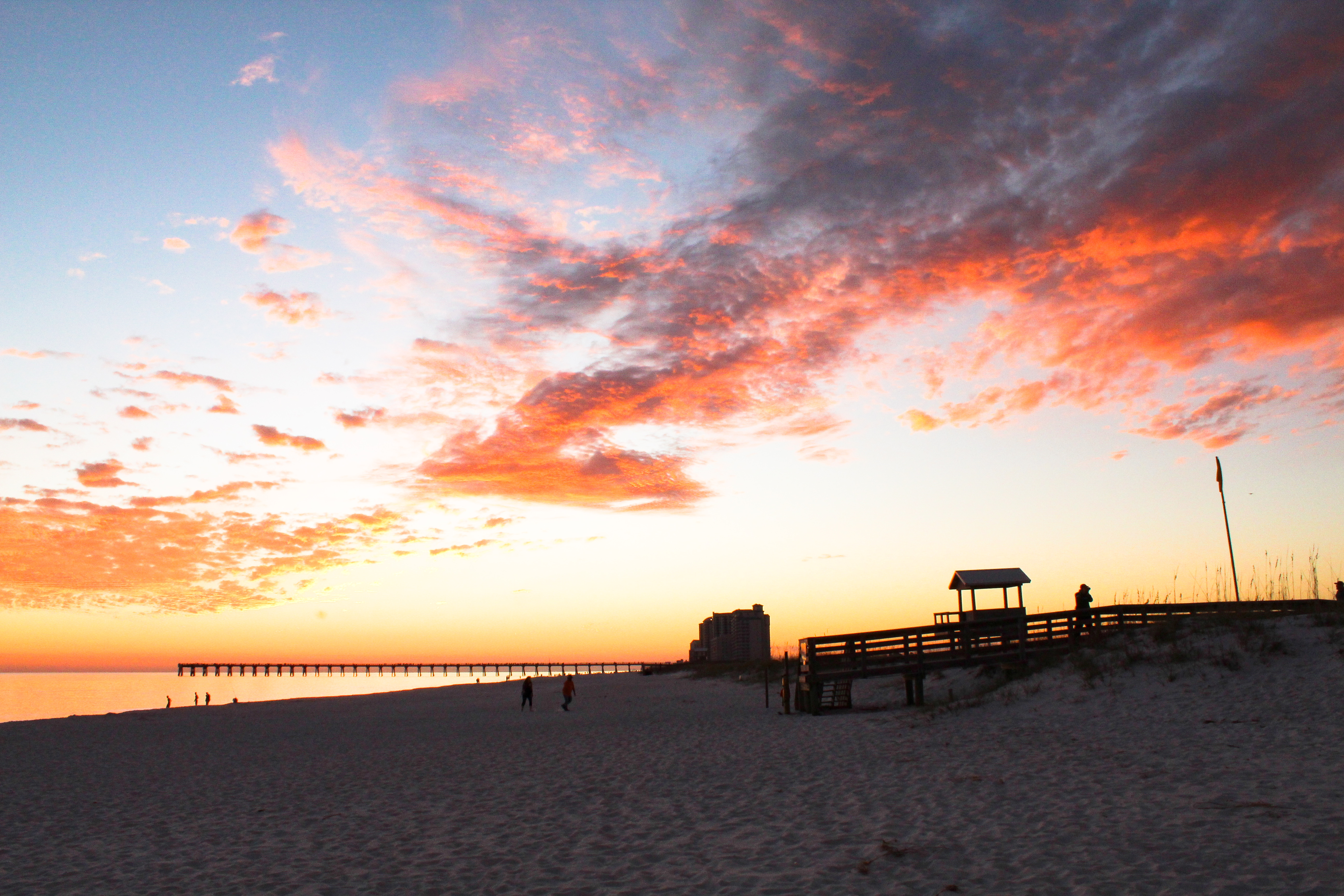 beach night sky