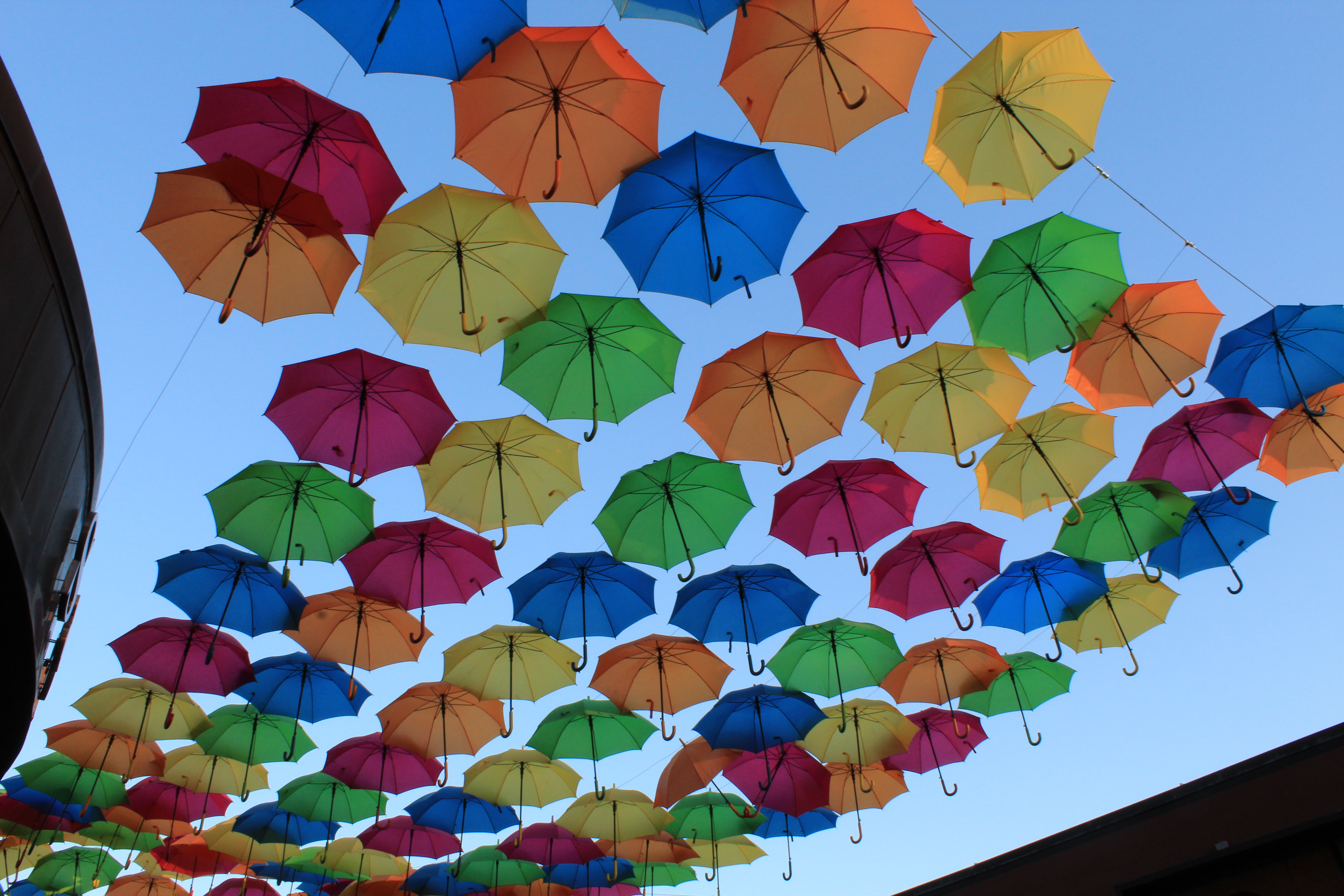 umbrellas