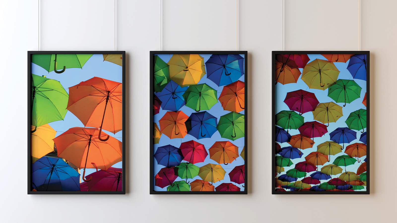 umbrella picture