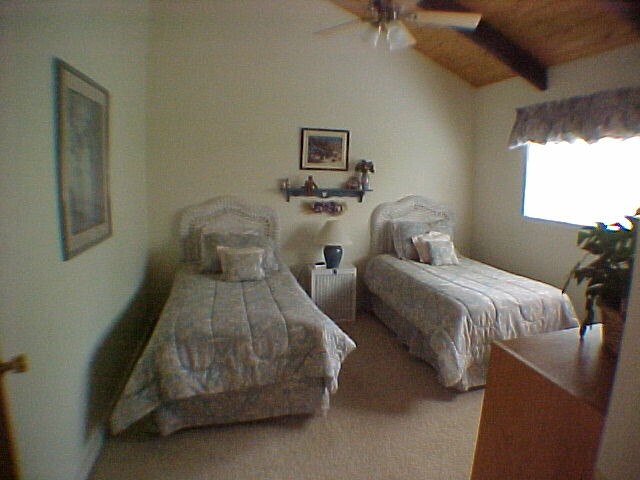 pic15.jpg