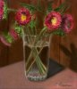 Asters