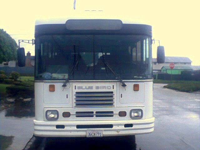 1996 Blue Byrd