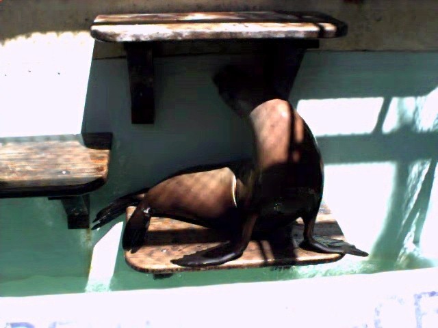 Morro Bay Aquarium at the Embarcadero