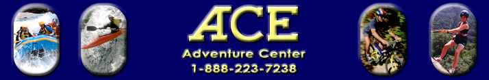 Ace