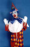 clown2.jpg (88989 bytes)