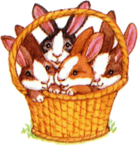 Basket Full of Bunnies
