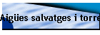 Aig�es salvatges i torrencials