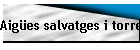 Aig�es salvatges i torrencials