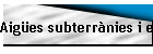 Aig�es subterr�nies i el mar