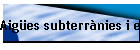 Aig�es subterr�nies i el mar