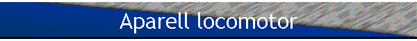 Aparell locomotor
