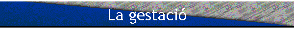 La gestaci�