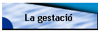 La gestaci�