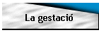 La gestaci�