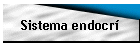 Sistema endocr�
