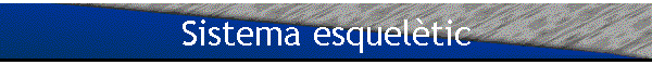 Sistema esquel�tic