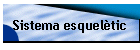 Sistema esquel�tic
