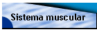 Sistema muscular