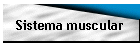 Sistema muscular