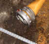 hosestortz5.jpg (64236 bytes)