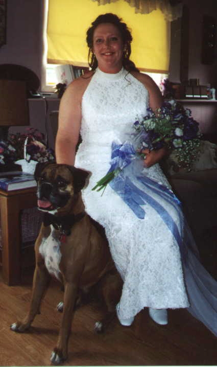 Click here to see our Foster Dogs