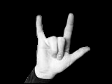 ily.gif (5756 bytes)