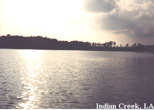 Indian Creek, LA