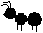 Ant