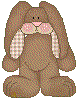 Country Bunny