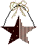 Freedom Star